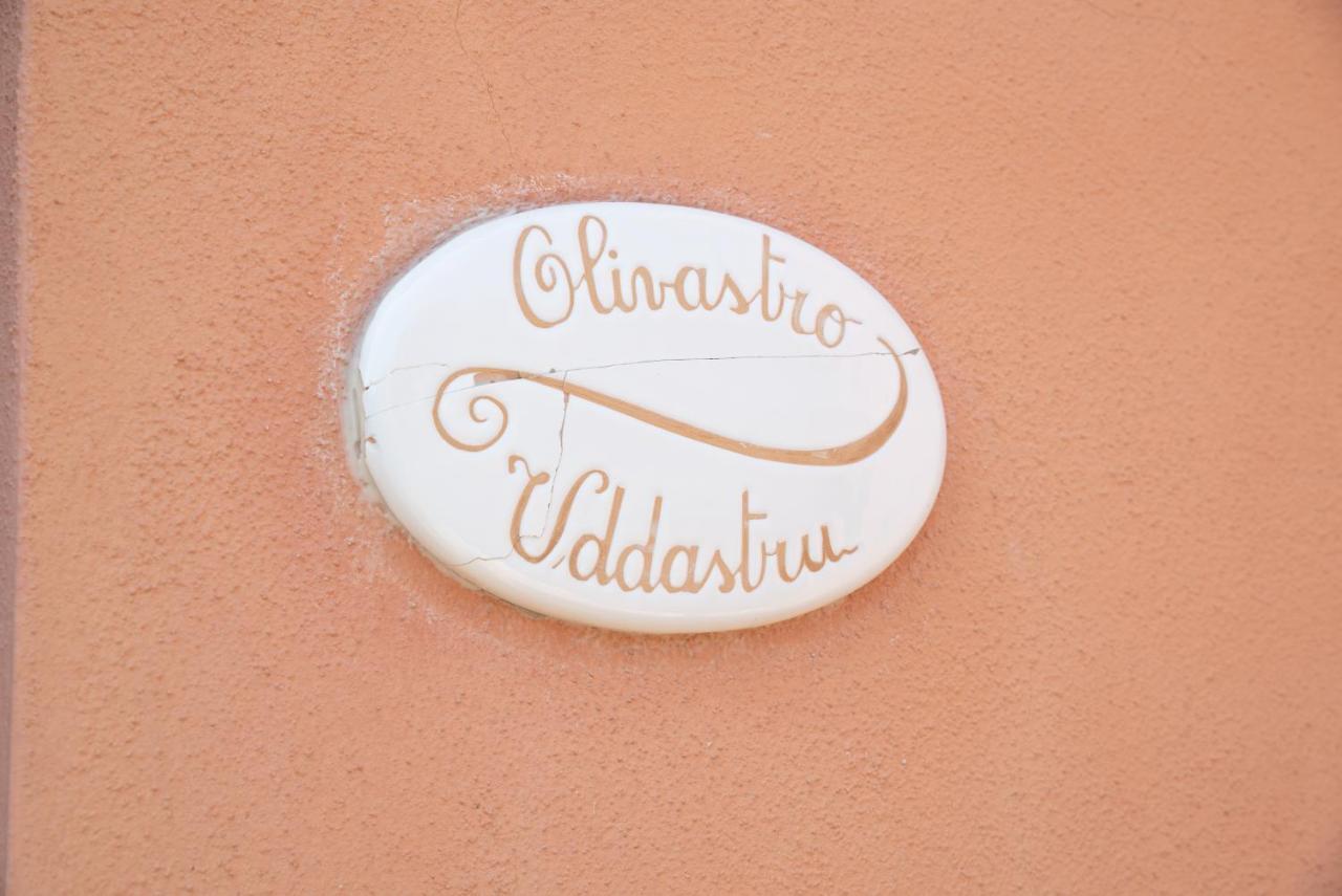 Olivastro