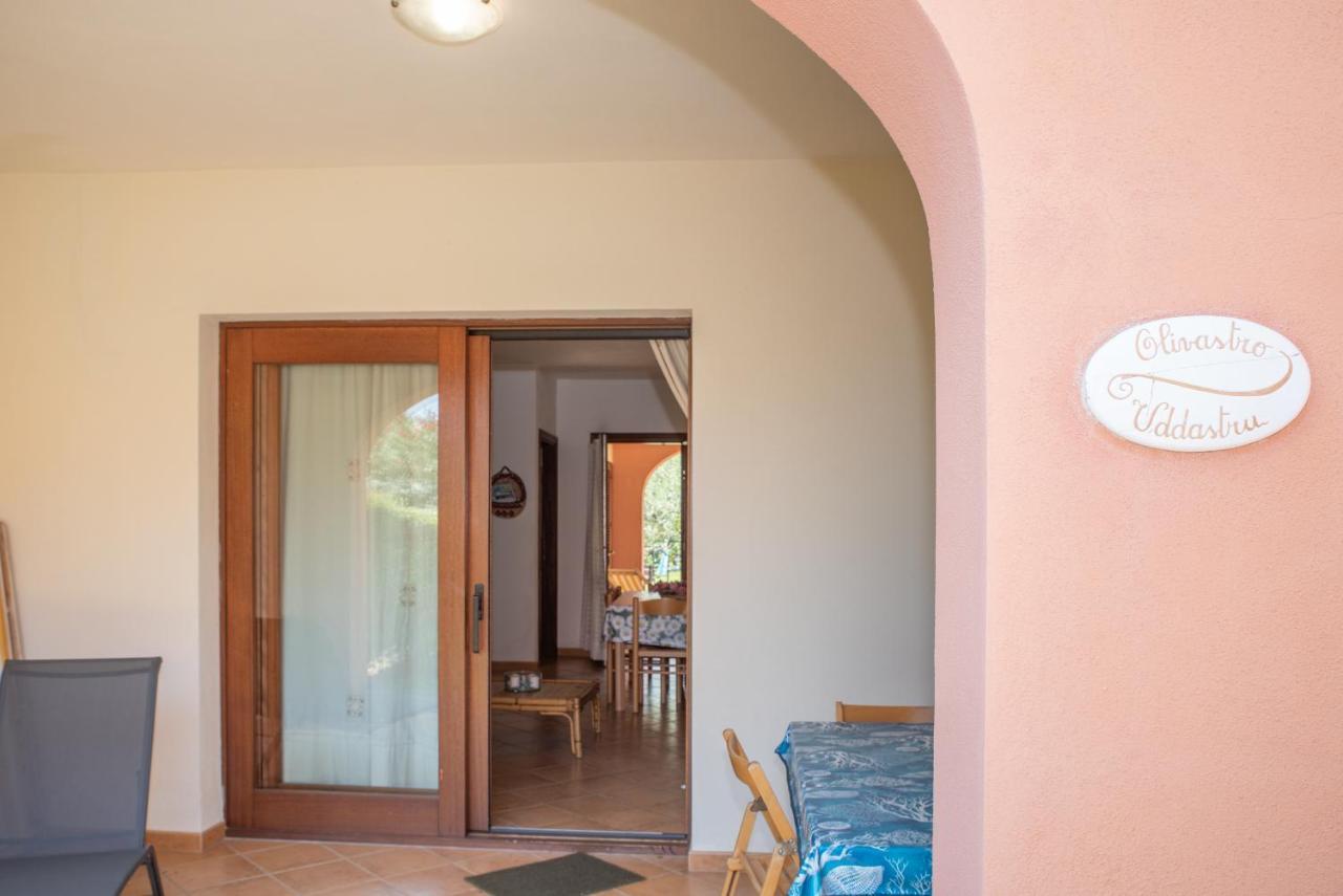 Villa Olivastro *