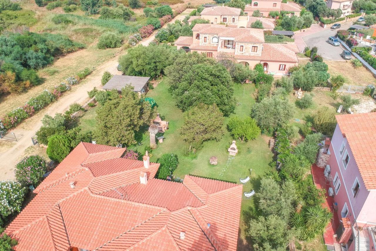 Olivastro San Teodoro (Sardinia)