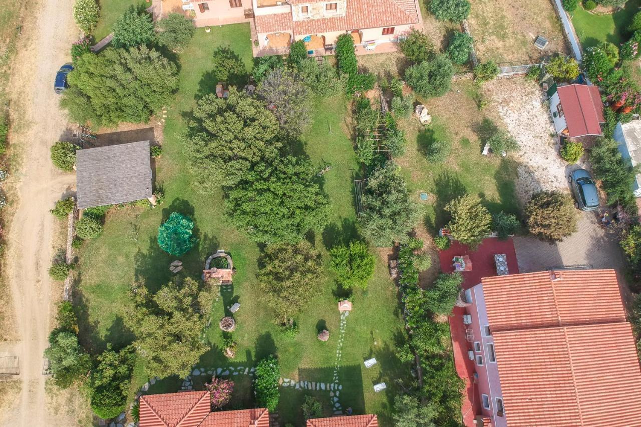 Olivastro * San Teodoro (Sardinia)
